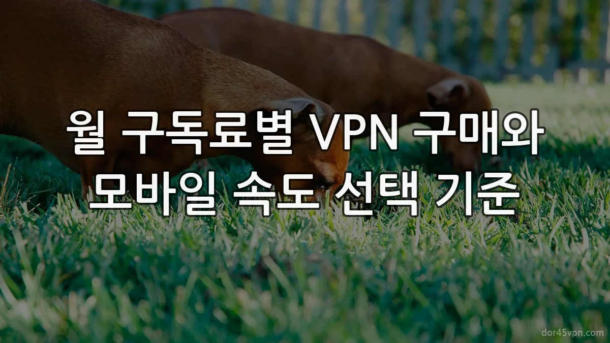 월 구독료별 VPN 구매와 모바일 속도 선택 기준