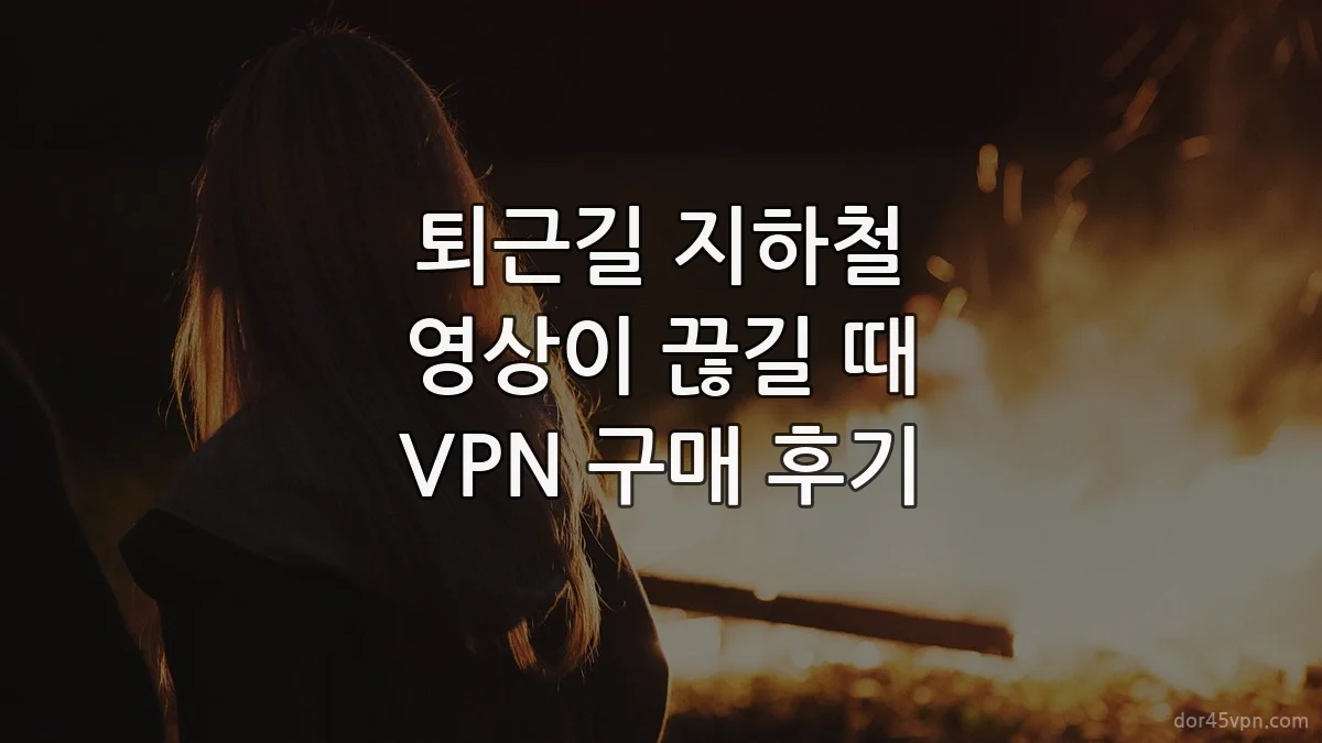 퇴근길 지하철 영상이 끊길 때 VPN 구매 후기