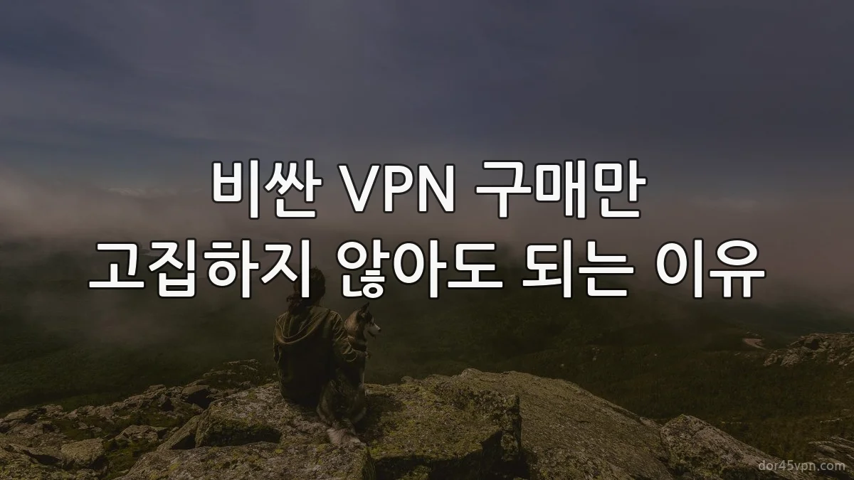 비싼 VPN 구매만 고집하지 않아도 되는 이유