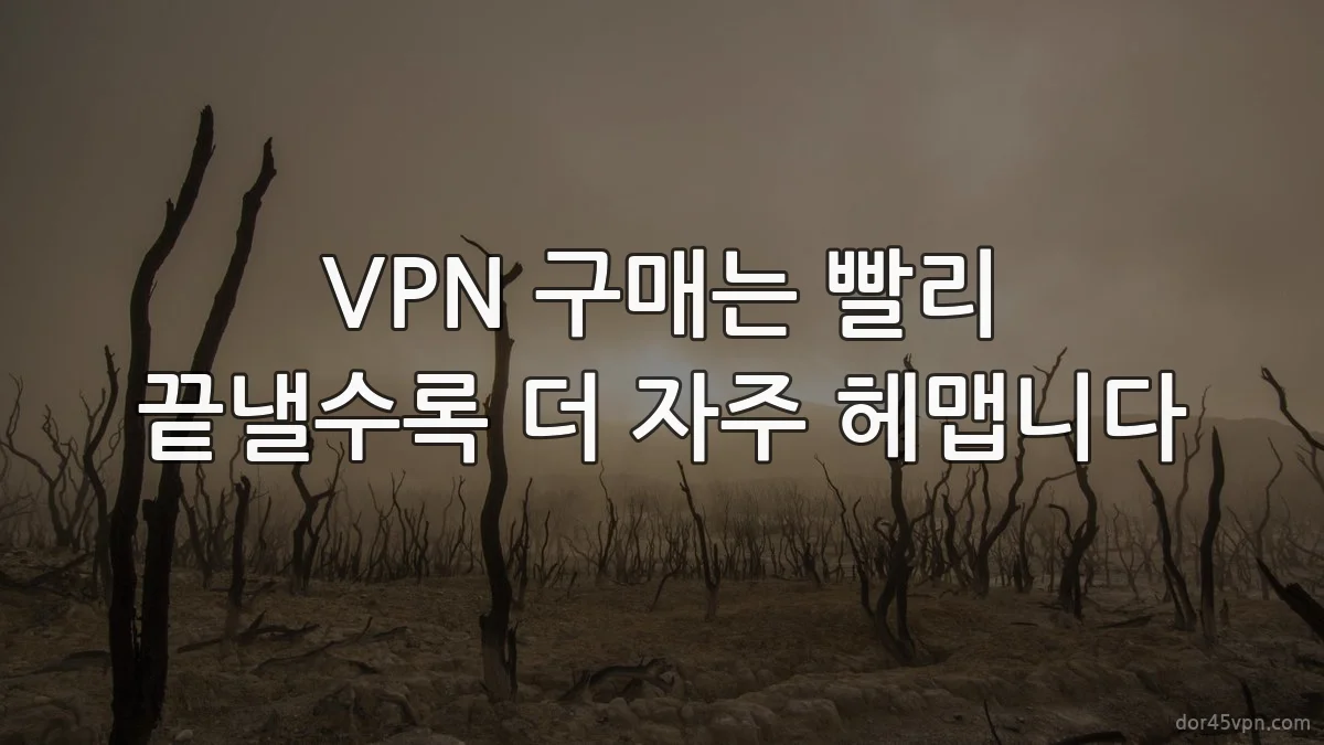 VPN 구매는 빨리 끝낼수록 더 자주 헤맵니다