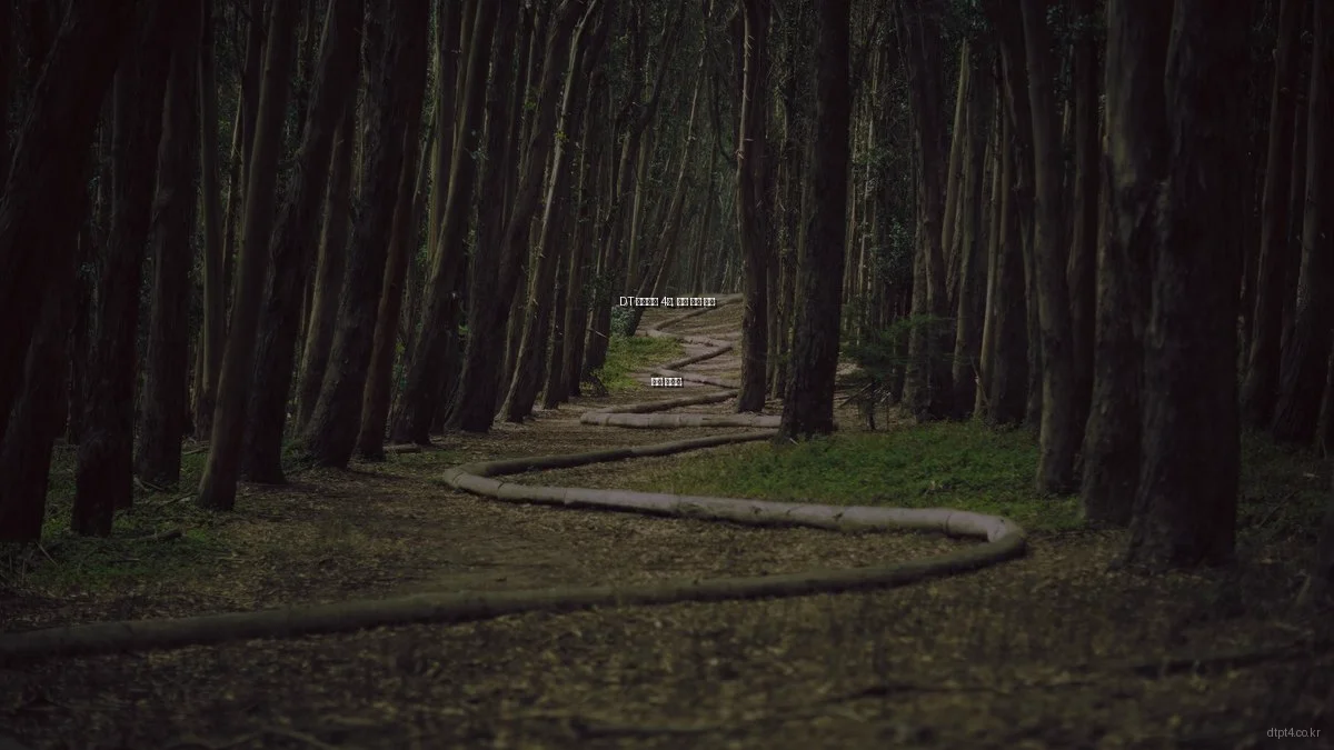 DT 파크타운 4차, 봄철 이사 준비 필수 가이드