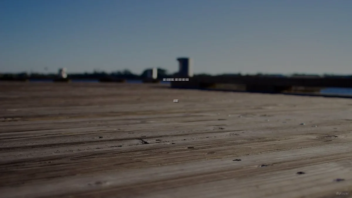 목동 센트럴파크, 봄철 가족 활동 추천 가이드