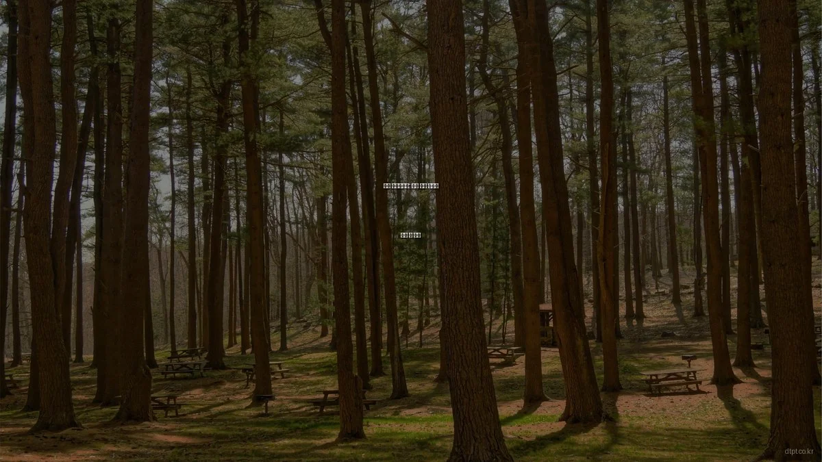 목동 센트럴파크: 최신 건축 트렌드 분석 및 전망