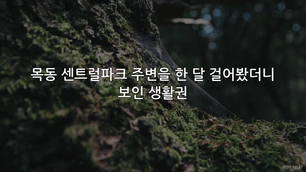 목동 센트럴파크 주변을 한 달 걸어봤더니 보인 생활권