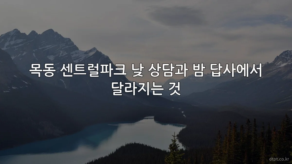 목동 센트럴파크 낮 상담과 밤 답사에서 달라지는 것