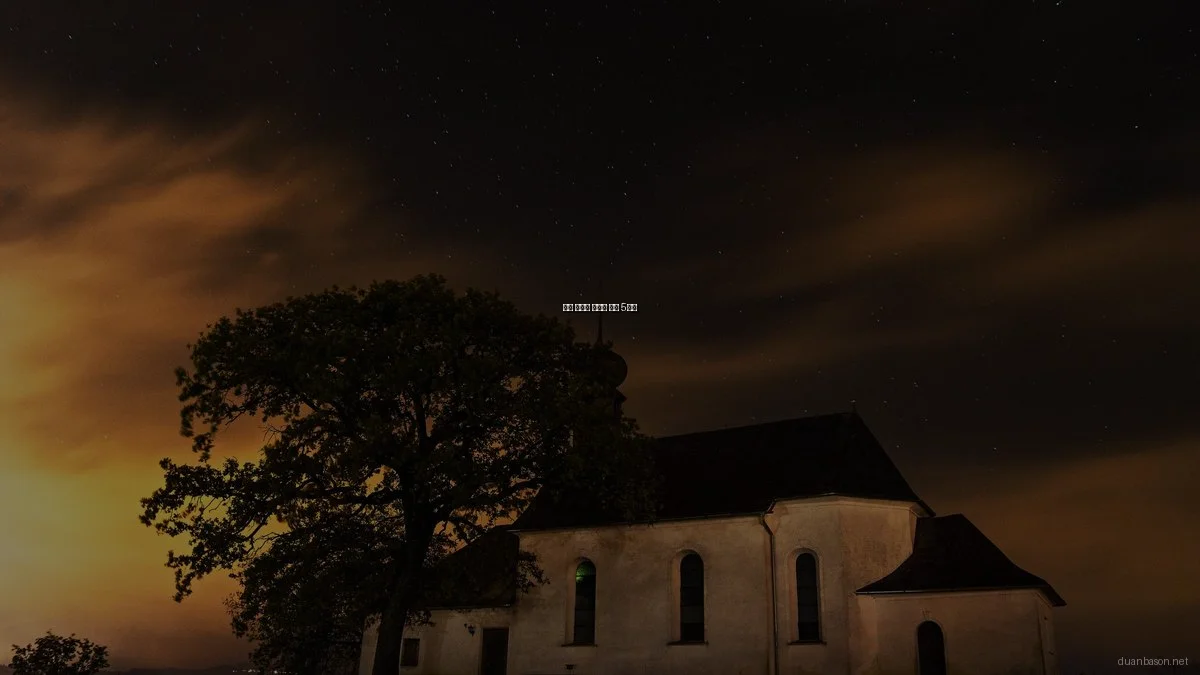 정보 탐색의 숨겨진 꿀팁 5가지