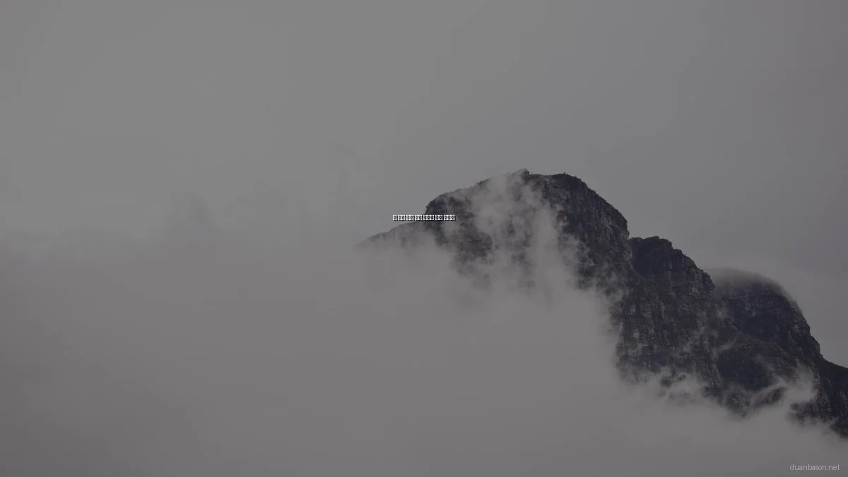 봄 시즌 정보 탐색 꿀팁과 자원 활용법