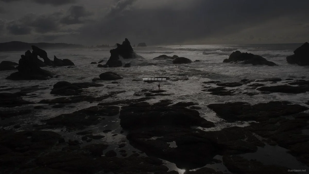 초보자를 위한 정보 자원 활용법 가이드