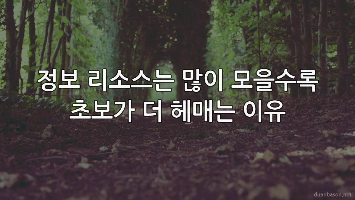 정보 리소스는 많이 모을수록 초보가 더 헤매는 이유