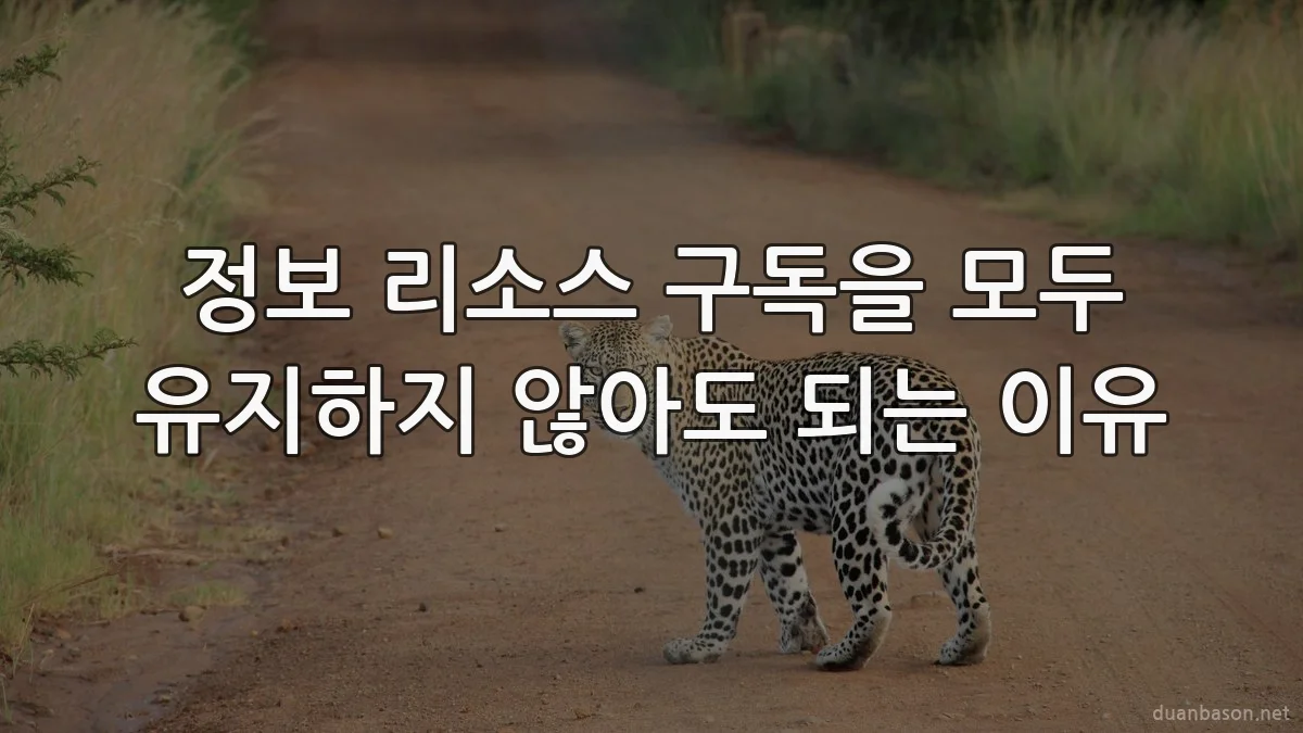 정보 리소스 구독을 모두 유지하지 않아도 되는 이유