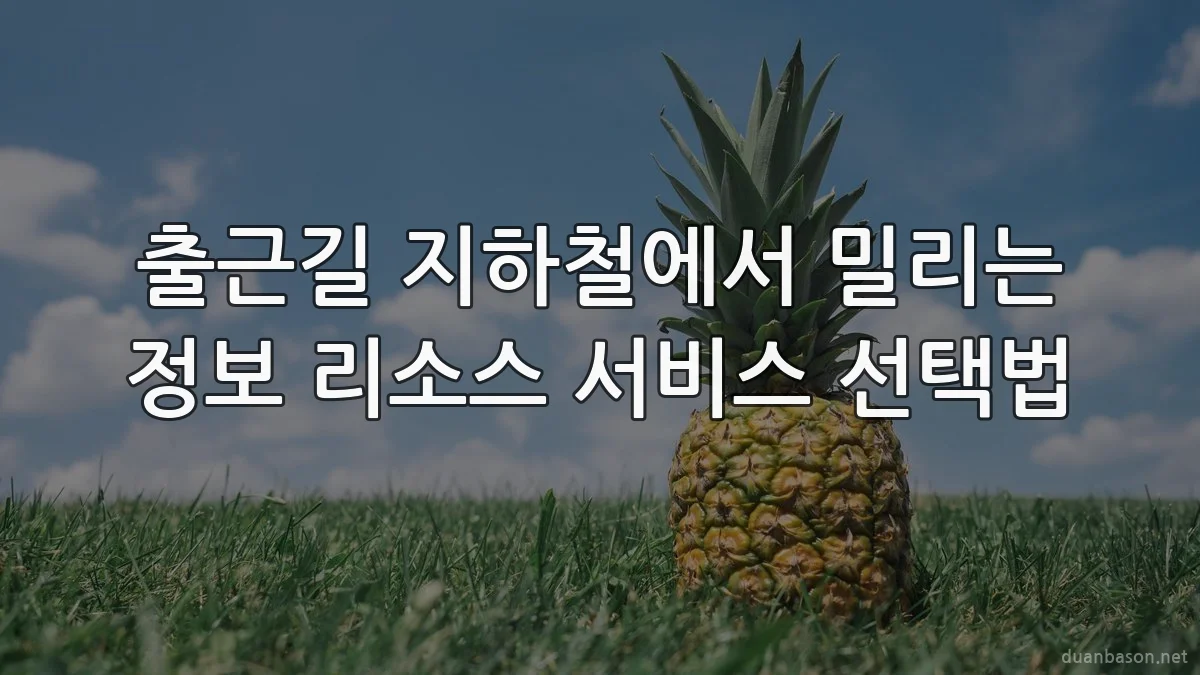 출근길 지하철에서 밀리는 정보 리소스 서비스 선택법