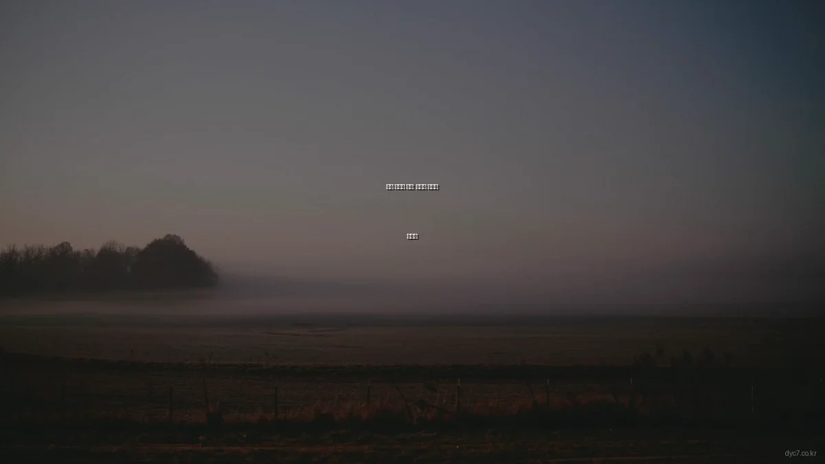 실력 향상의 비밀: 컴퓨터 전문가 인터뷰