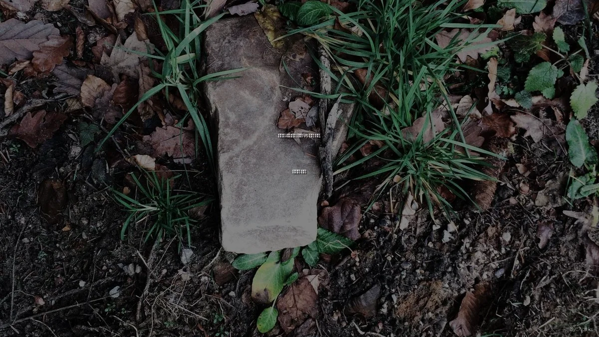 컴퓨터 프로그램 자습 vs 학원 수강, 장단점 비교