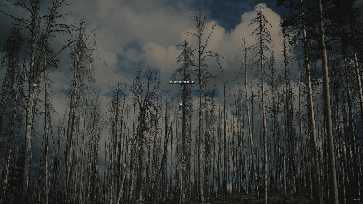 최고의 컴퓨터 보안 소프트웨어 비교 분석