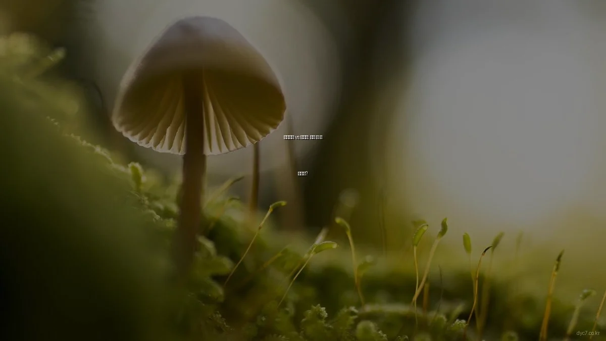 데스크탑 vs 노트북: 어떤 게 더 나을까?