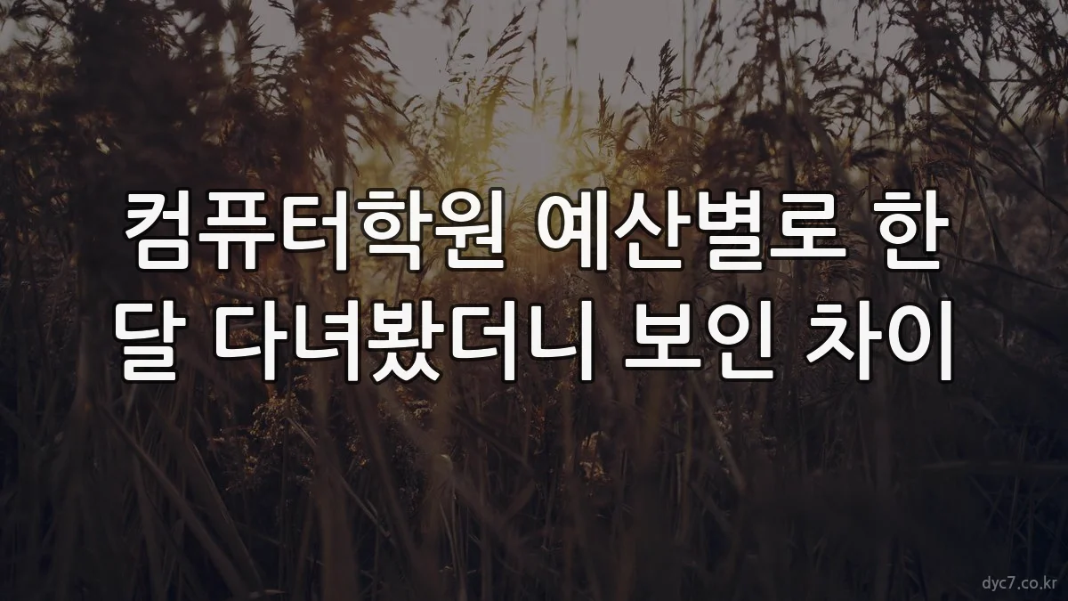 컴퓨터학원 예산별로 한 달 다녀봤더니 보인 차이