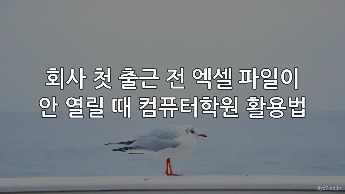 회사 첫 출근 전 엑셀 파일이 안 열릴 때 컴퓨터학원 활용법