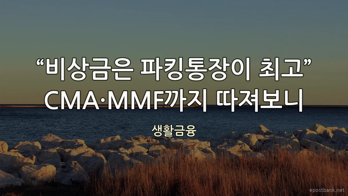 “비상금은 파킹통장이 최고” CMA·MMF까지 따져보니