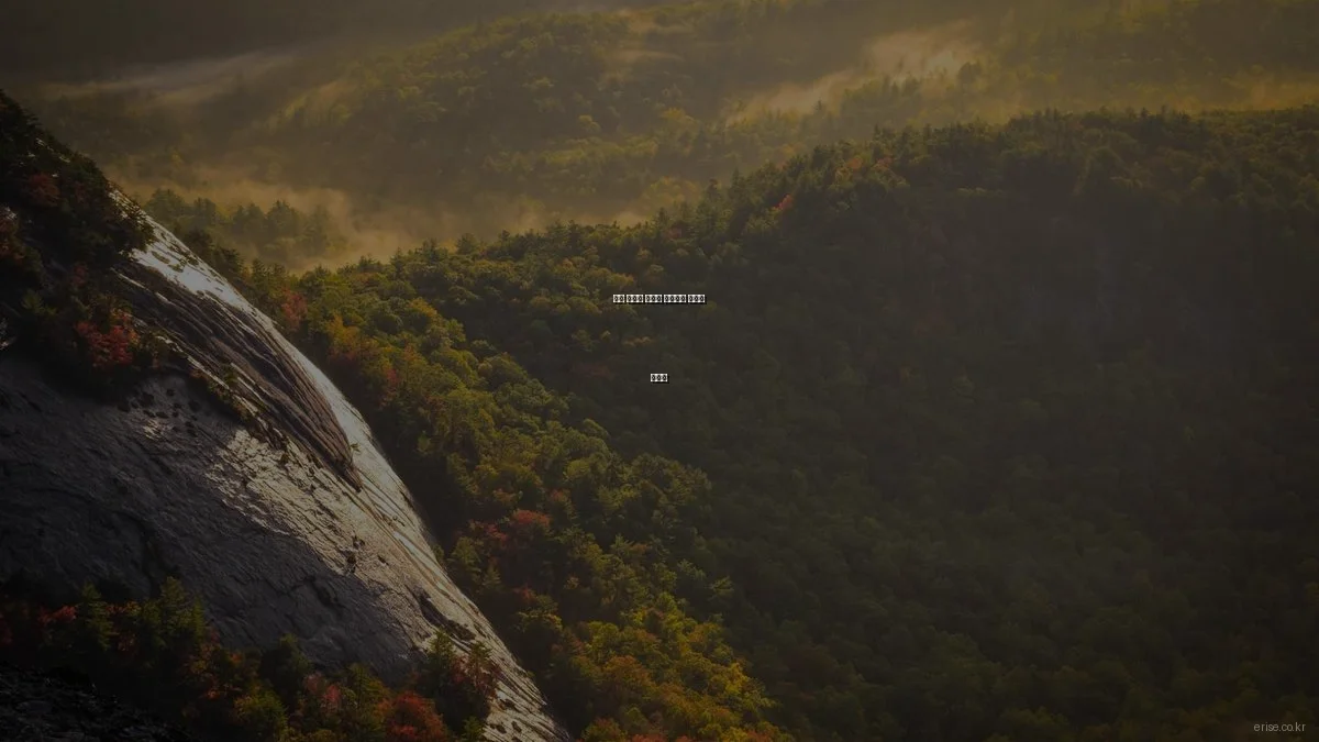 기업 효율성 극대화 비즈니스 솔루션 체험담