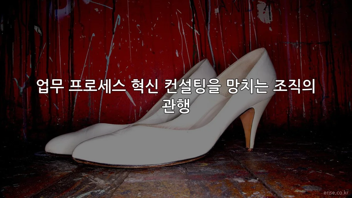 업무 프로세스 혁신 컨설팅을 망치는 조직의 관행