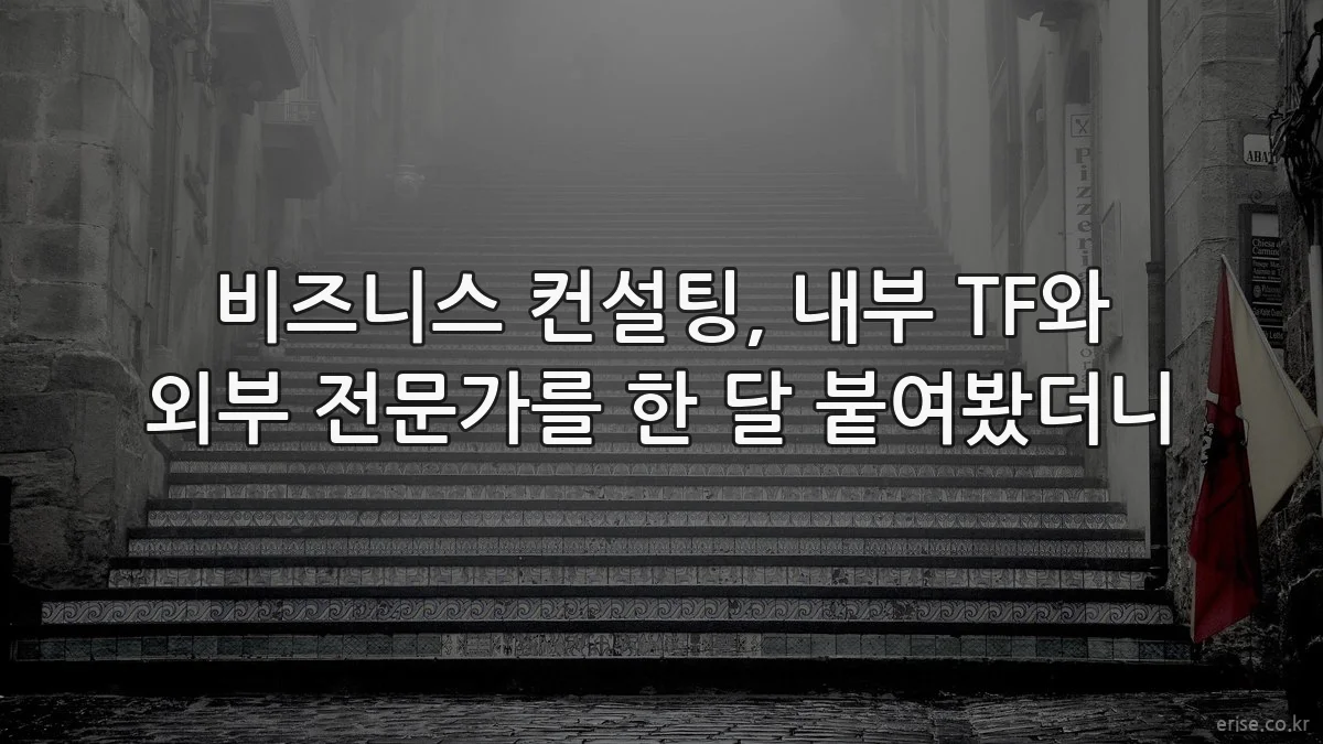 비즈니스 컨설팅, 내부 TF와 외부 전문가를 한 달 붙여봤더니