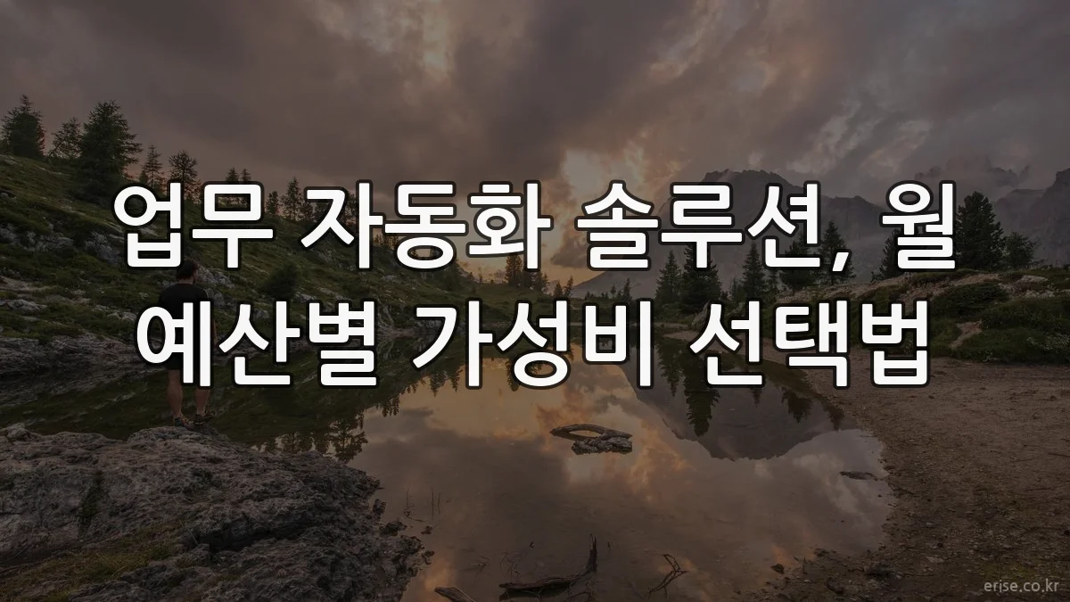 업무 자동화 솔루션, 월 예산별 가성비 선택법