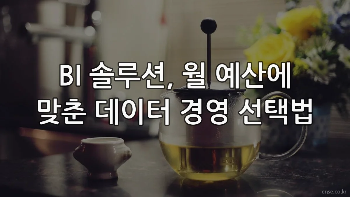 BI 솔루션, 월 예산에 맞춘 데이터 경영 선택법