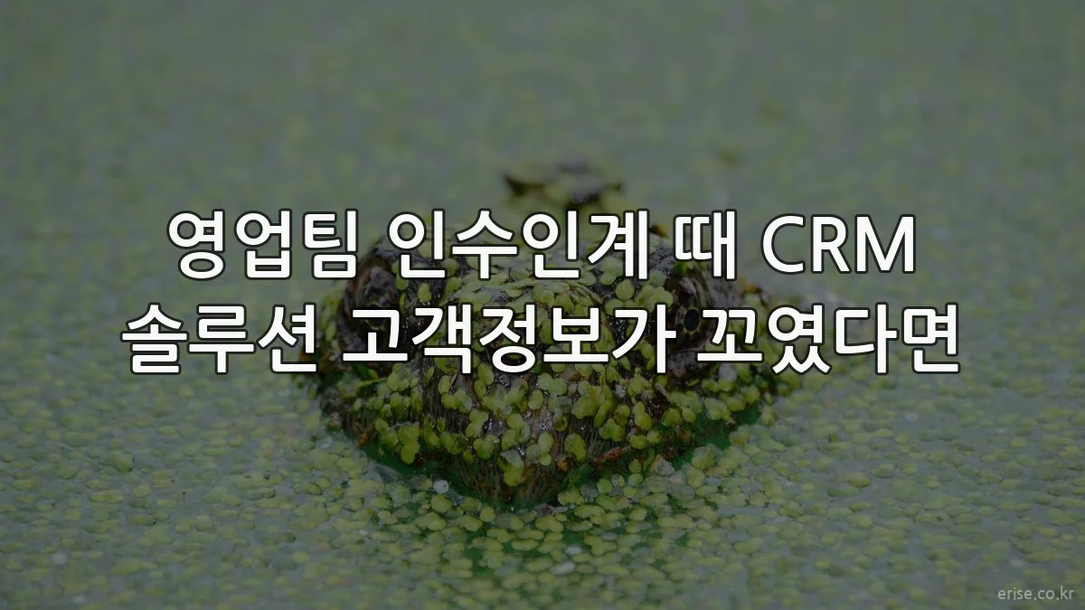영업팀 인수인계 때 CRM 솔루션 고객정보가 꼬였다면