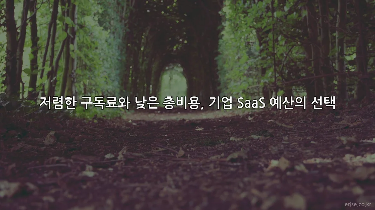 저렴한 구독료와 낮은 총비용, 기업 SaaS 예산의 선택