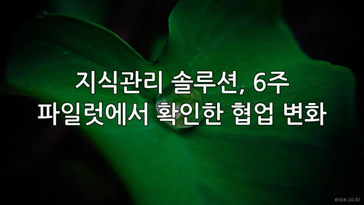 지식관리 솔루션, 6주 파일럿에서 확인한 협업 변화