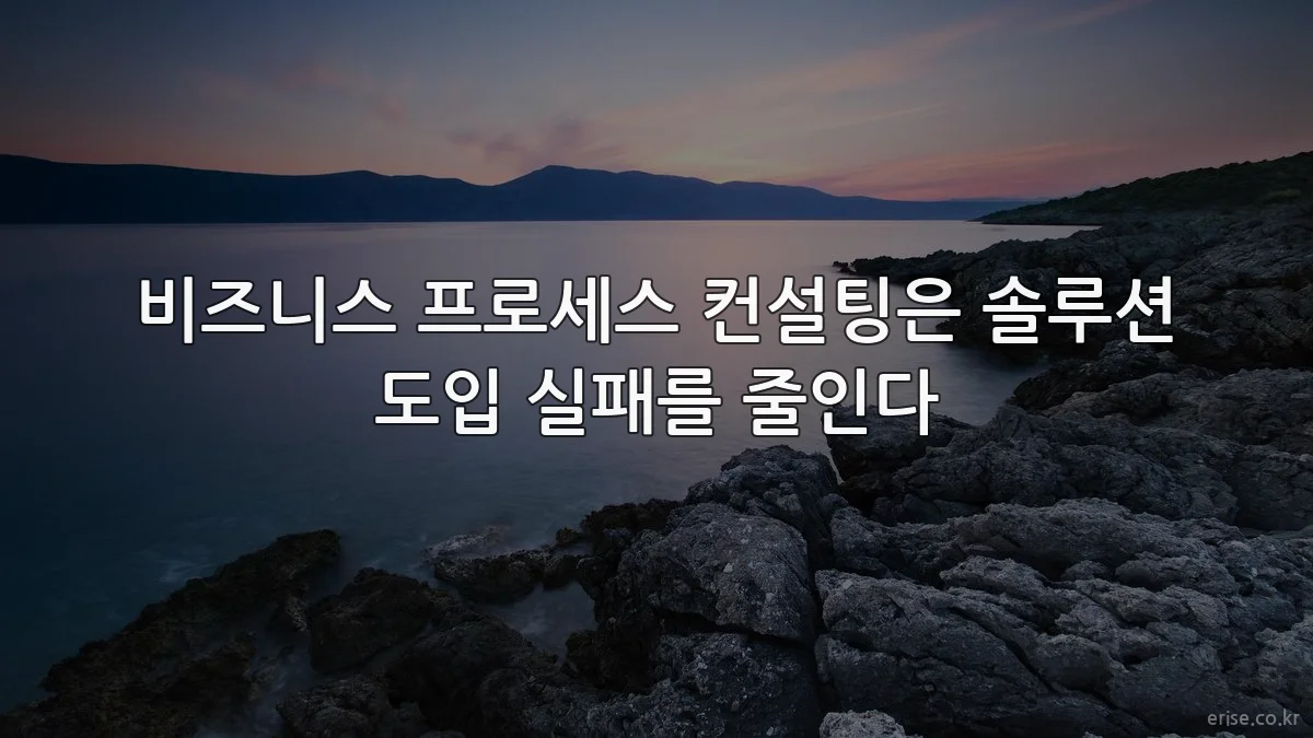 비즈니스 프로세스 컨설팅은 솔루션 도입 실패를 줄인다