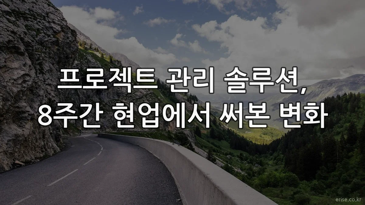 프로젝트 관리 솔루션, 8주간 현업에서 써본 변화