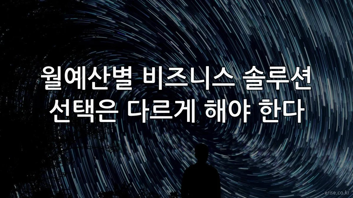 월예산별 비즈니스 솔루션 선택은 다르게 해야 한다