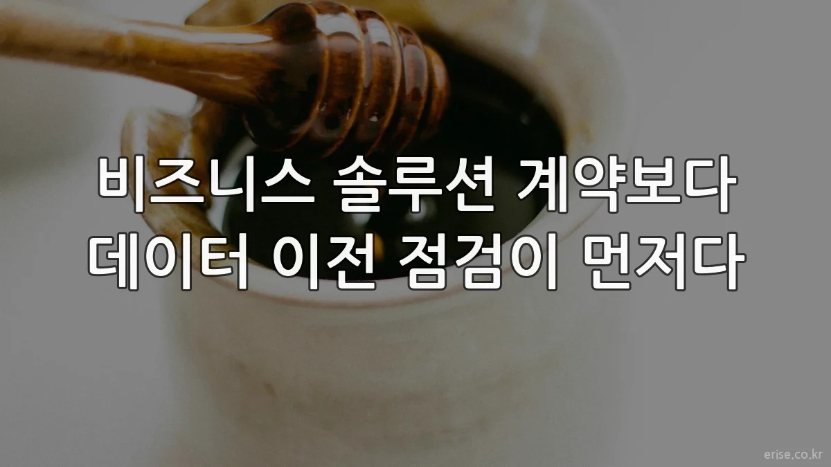 비즈니스 솔루션 계약보다 데이터 이전 점검이 먼저다