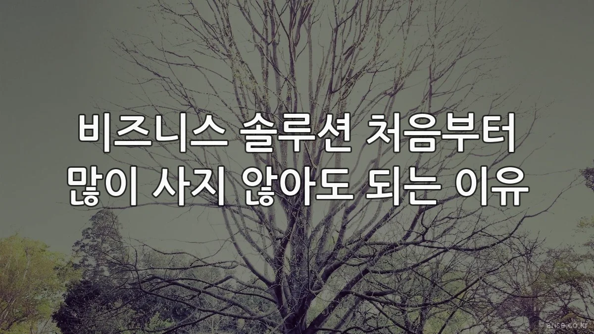 비즈니스 솔루션 처음부터 많이 사지 않아도 되는 이유