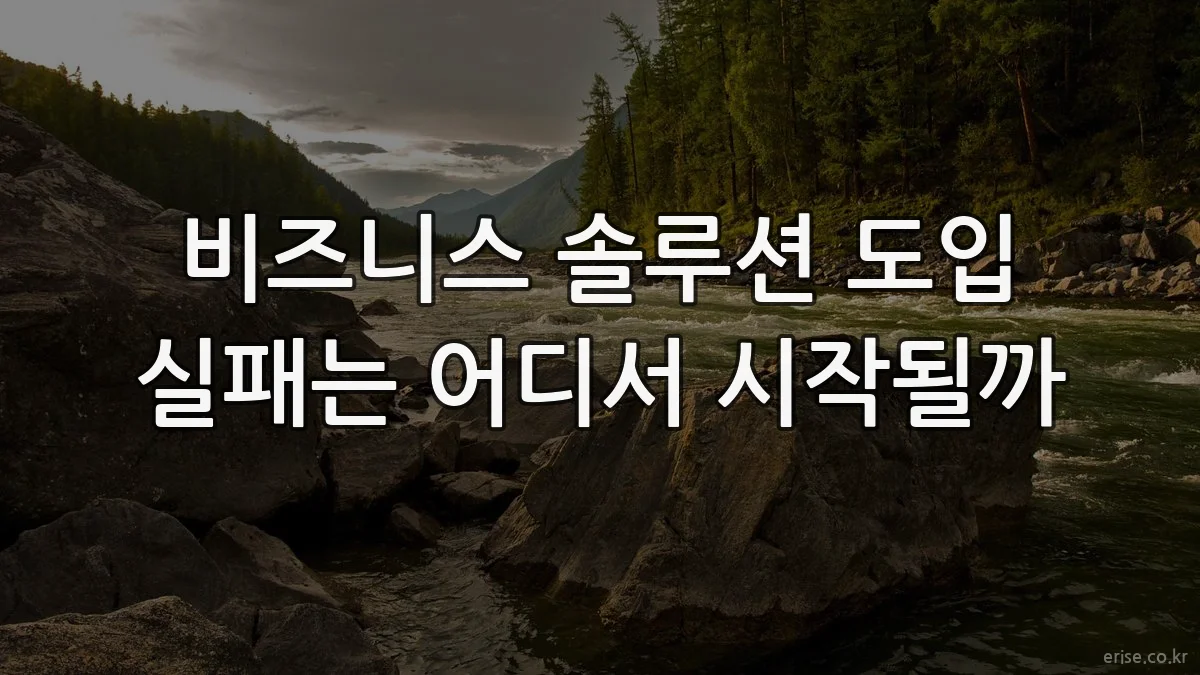 비즈니스 솔루션 도입 실패는 어디서 시작될까