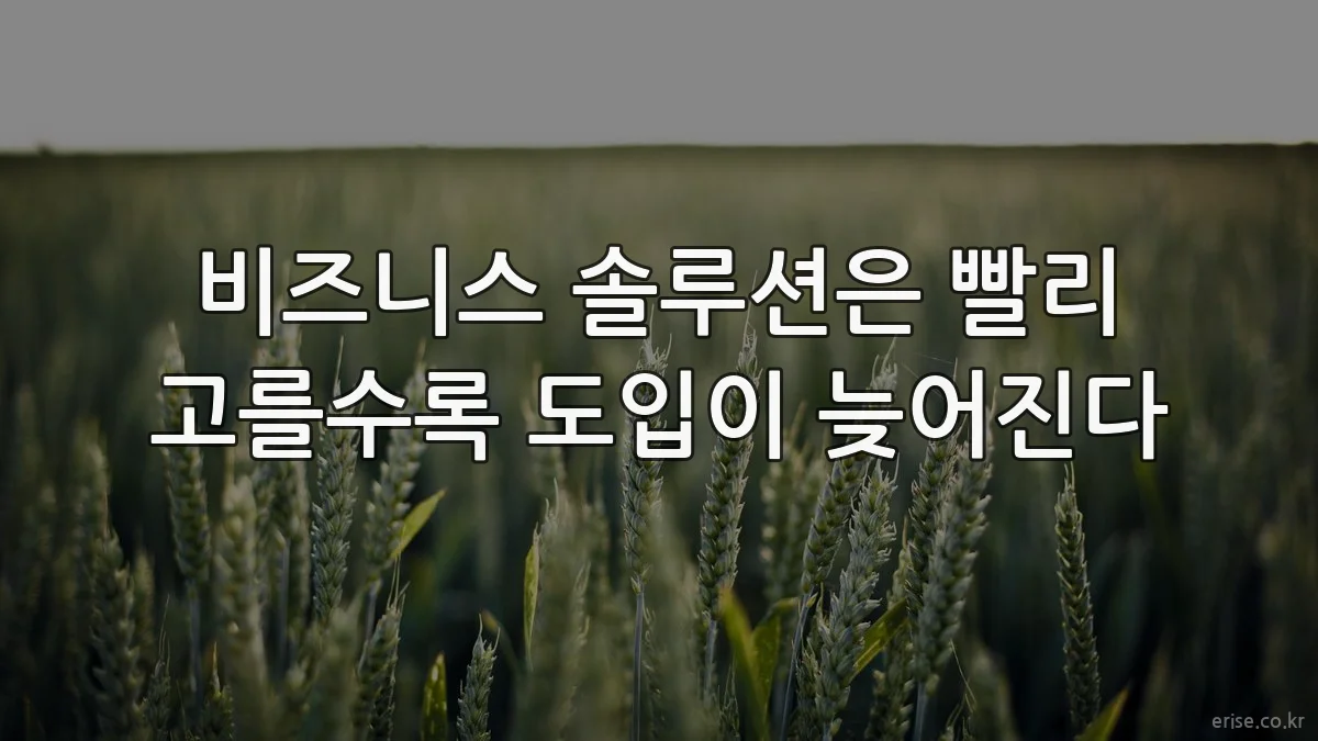 비즈니스 솔루션은 빨리 고를수록 도입이 늦어진다