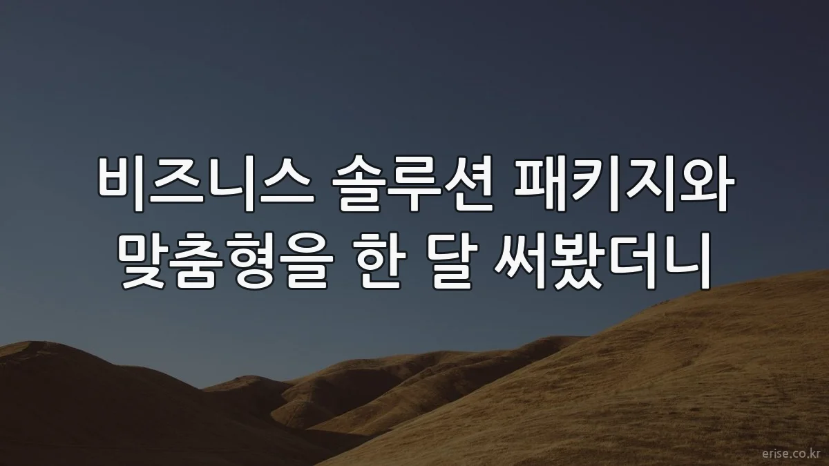 비즈니스 솔루션 패키지와 맞춤형을 한 달 써봤더니