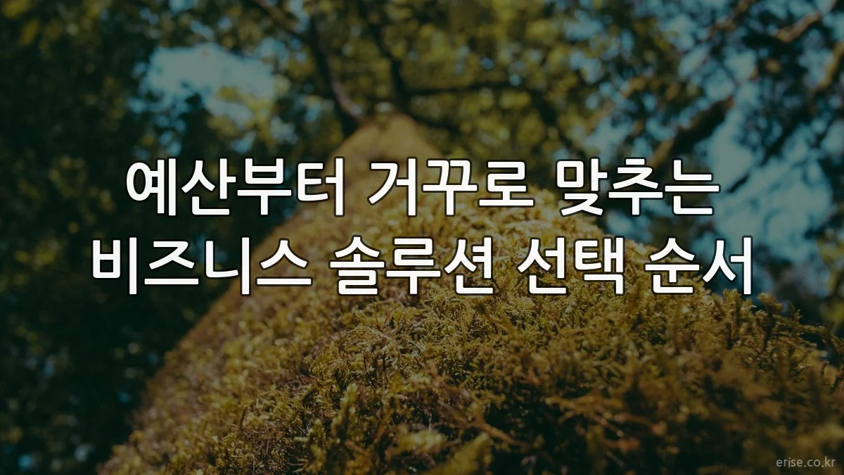 예산부터 거꾸로 맞추는 비즈니스 솔루션 선택 순서