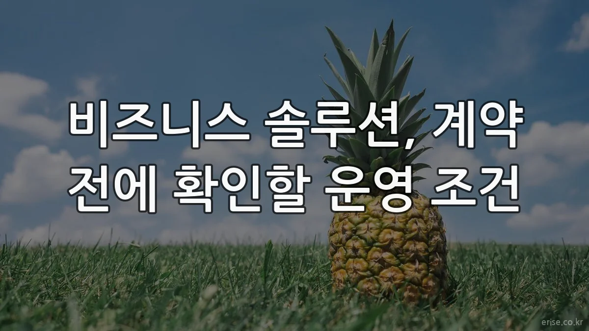 비즈니스 솔루션, 계약 전에 확인할 운영 조건