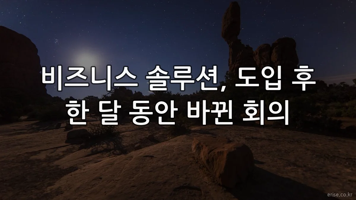 비즈니스 솔루션, 도입 후 한 달 동안 바뀐 회의