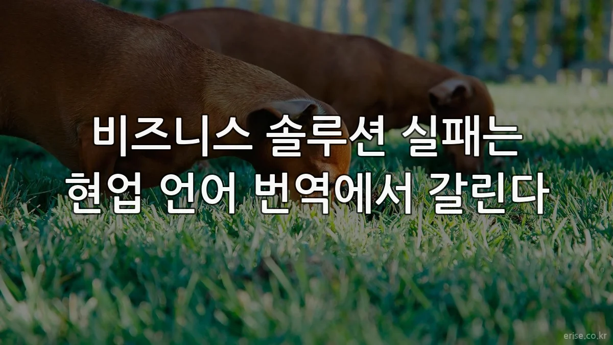 비즈니스 솔루션 실패는 현업 언어 번역에서 갈린다