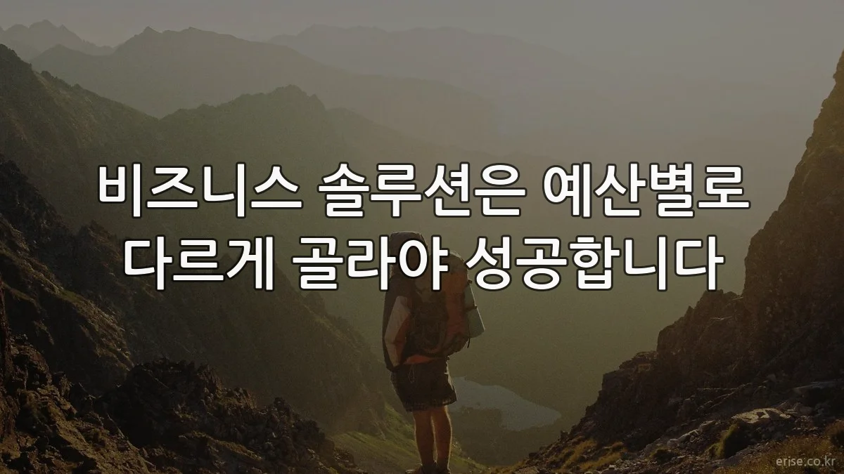 비즈니스 솔루션은 예산별로 다르게 골라야 성공합니다