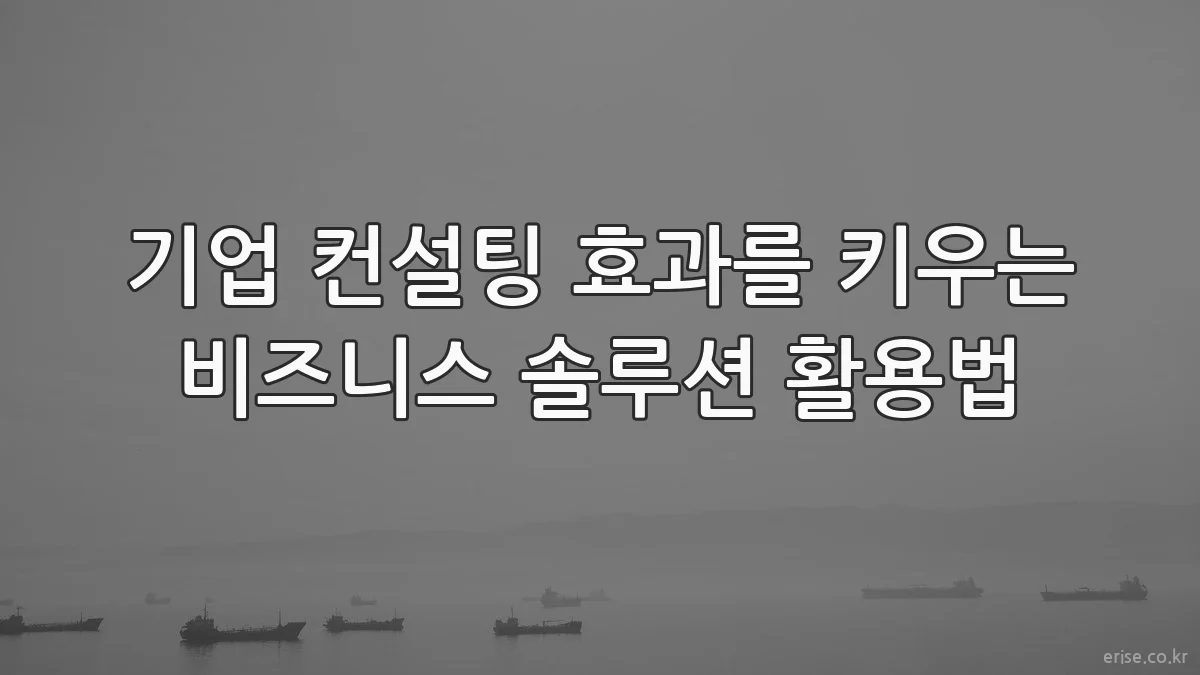 기업 컨설팅 효과를 키우는 비즈니스 솔루션 활용법