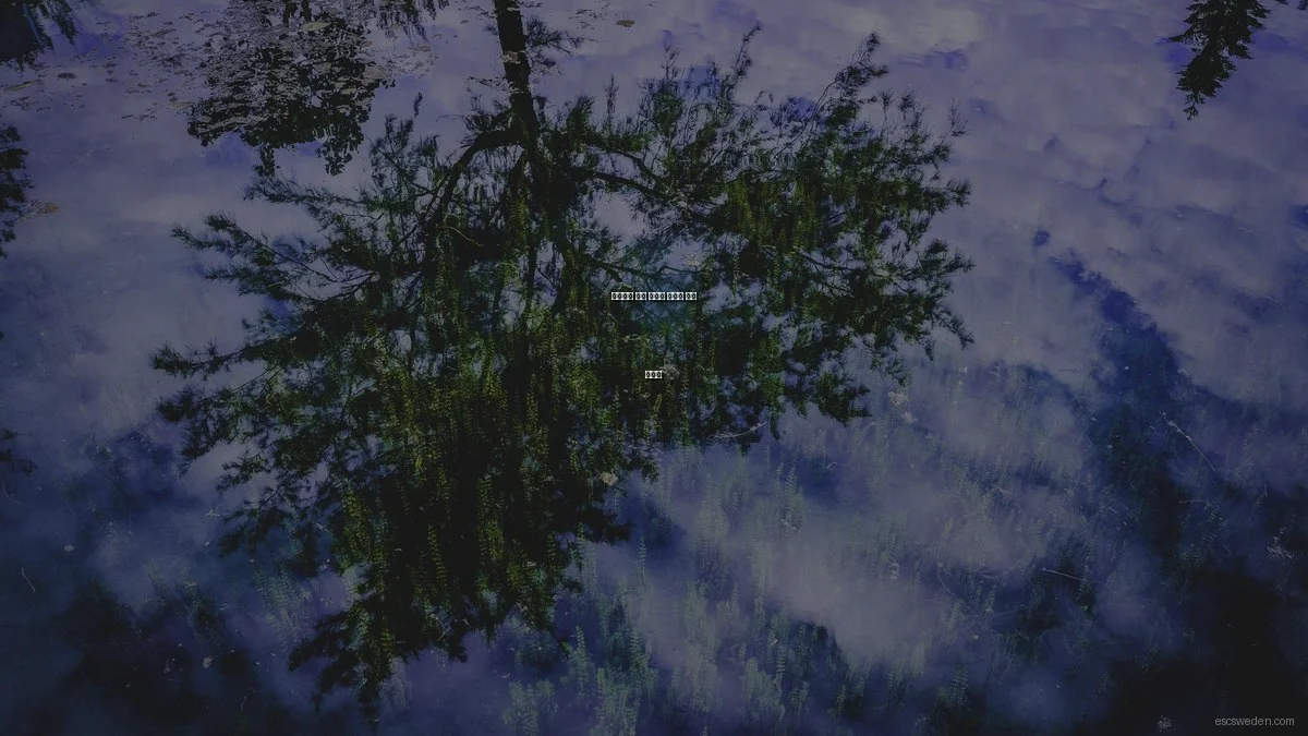 유로비전 관람 예산별 스웨덴 추천 여행지