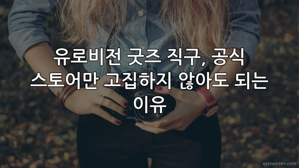 유로비전 굿즈 직구, 공식 스토어만 고집하지 않아도 되는 이유