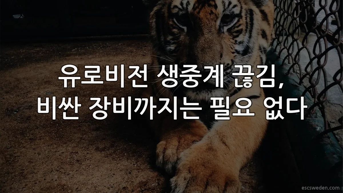 유로비전 생중계 끊김, 비싼 장비까지는 필요 없다