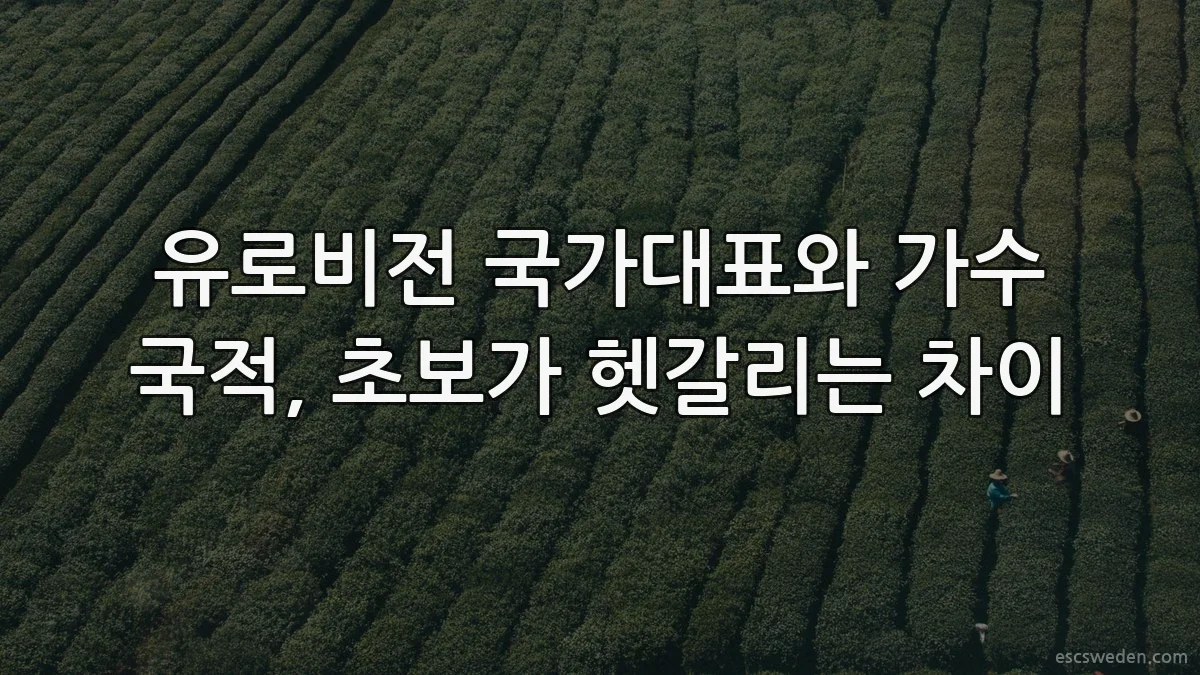 유로비전 국가대표와 가수 국적, 초보가 헷갈리는 차이