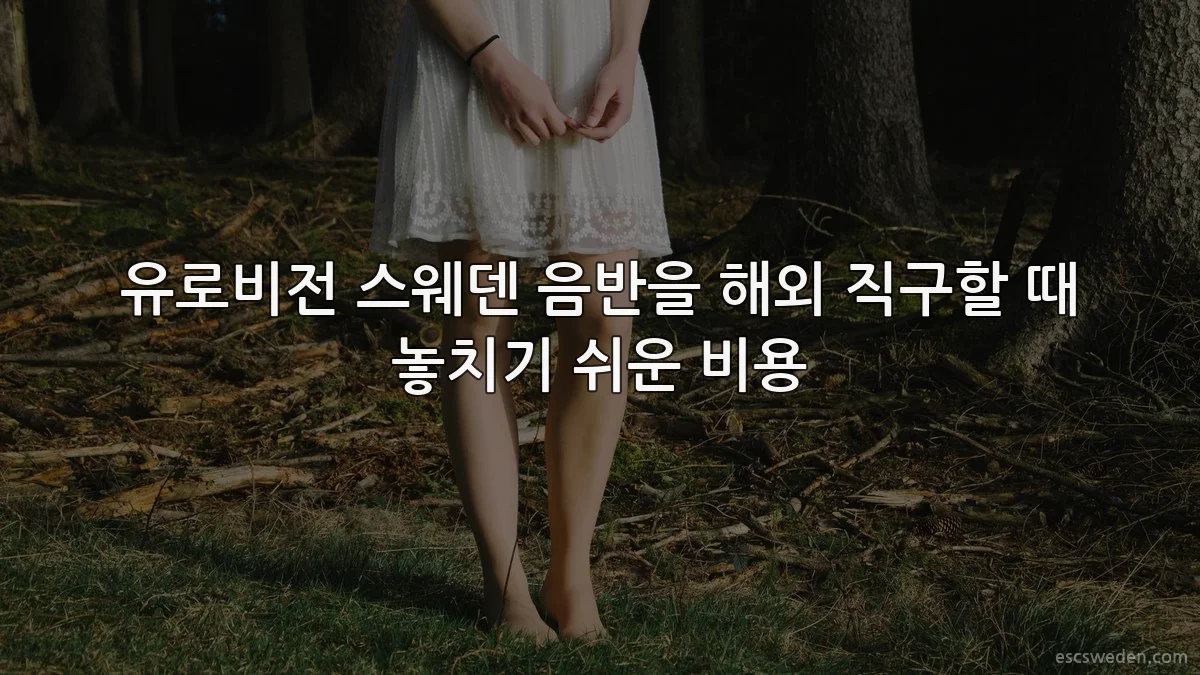유로비전 스웨덴 음반을 해외 직구할 때 놓치기 쉬운 비용