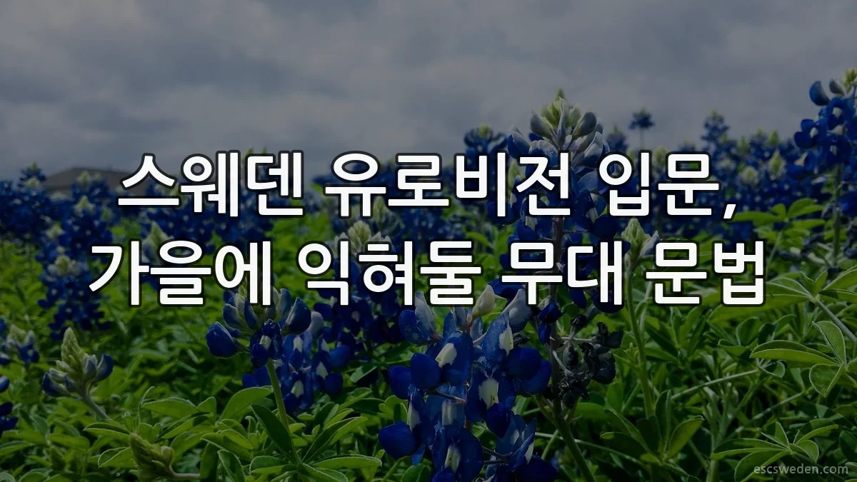스웨덴 유로비전 입문, 가을에 익혀둘 무대 문법